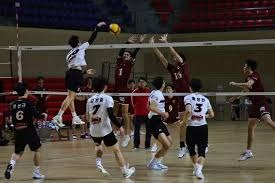 短道速滑——世锦赛：公俐晋级女子500米四分之一决赛